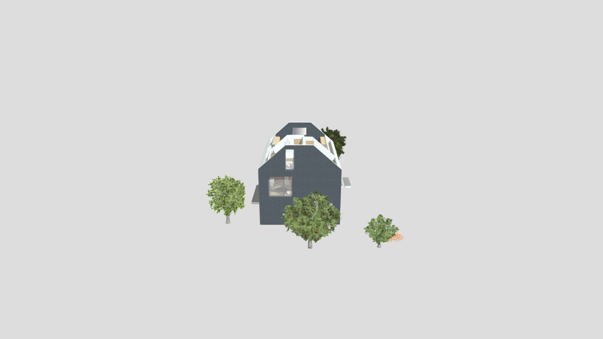 black eco family house