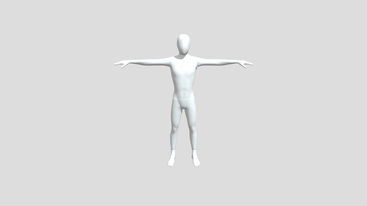 Human  rig 3D Model