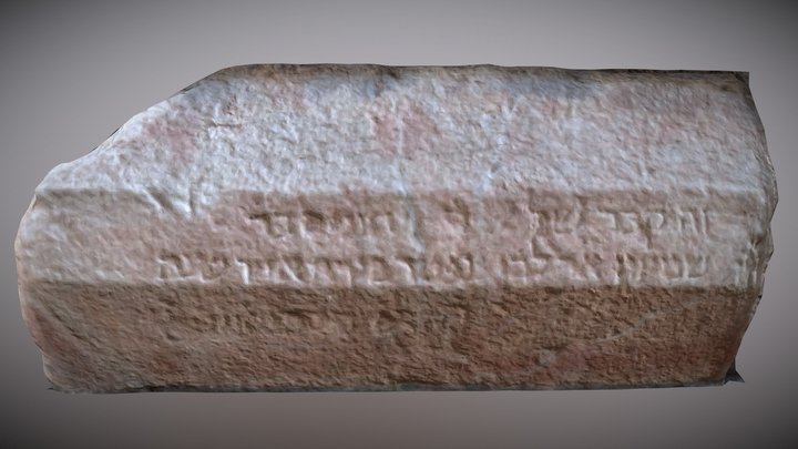 Inscripció retopología 3D Model