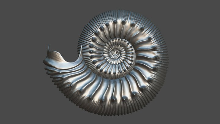 Cadomites psilacanthus (WERMBTER 1891) 3D Model