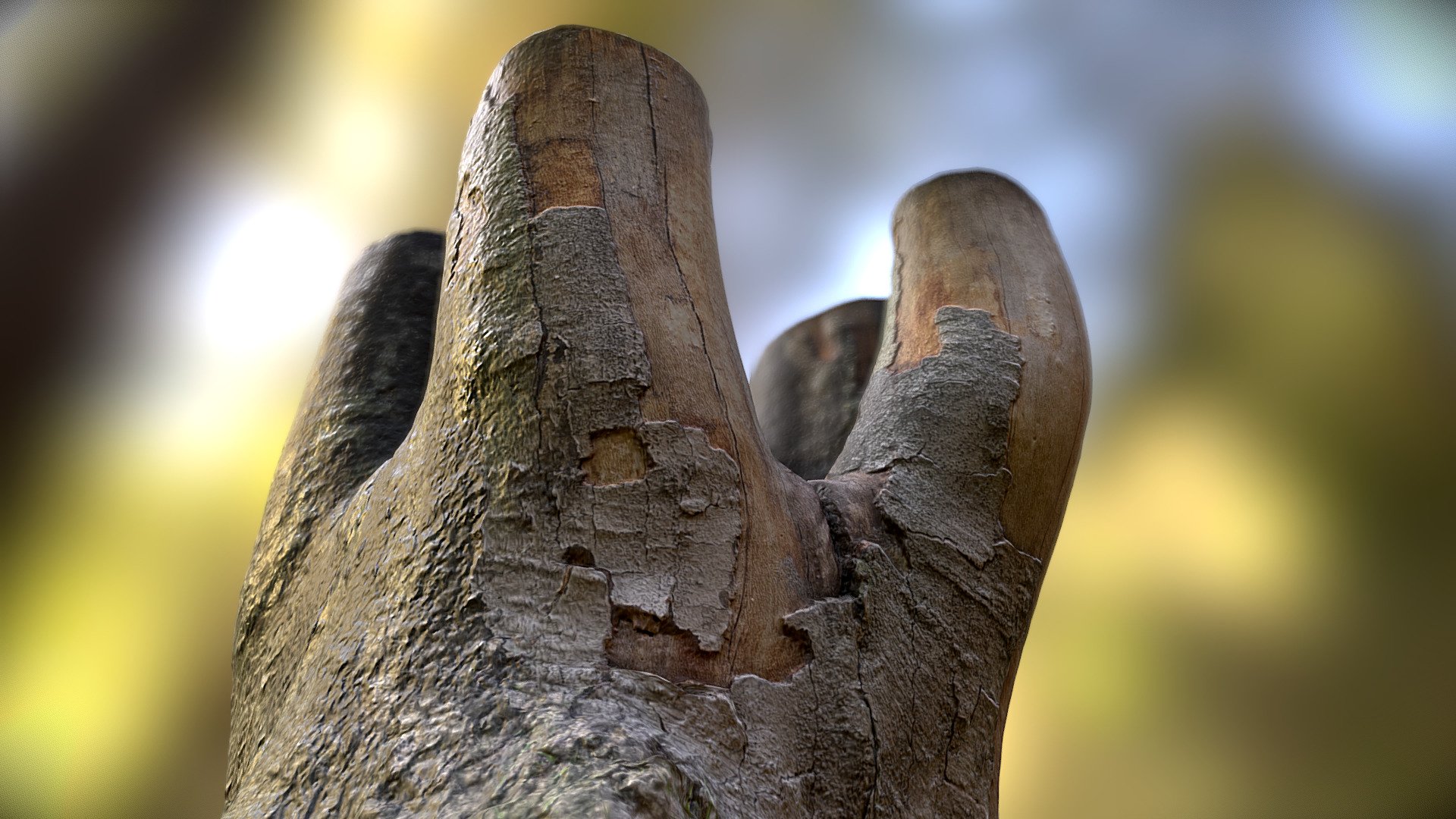 🌳 TreeQuadTrunk (Retopo) [Photogrammetry] Buy Royalty Free 3D model by Aboulicious [0d13bc0