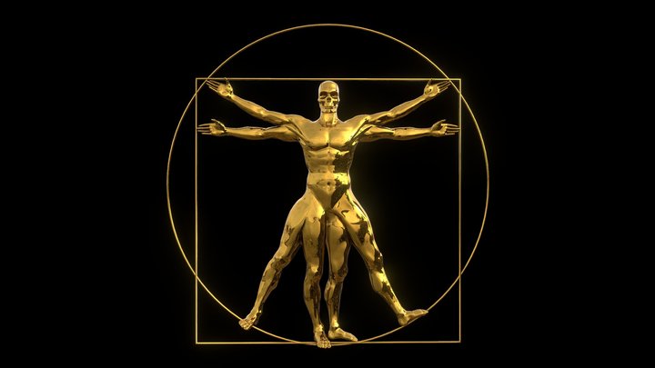 Vitruvian Man 3D Model