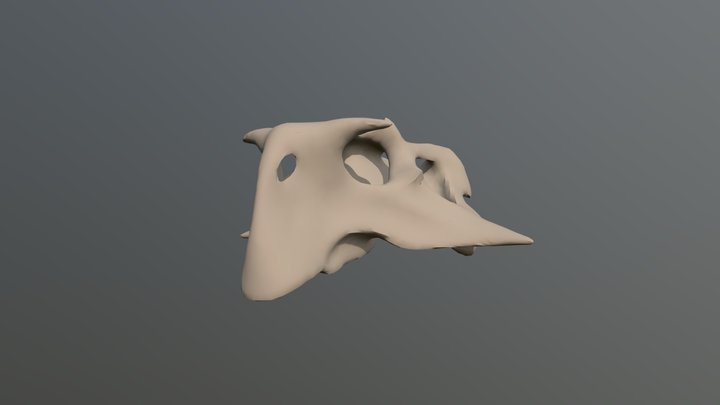 Psittacosaurus Skull 3D Model