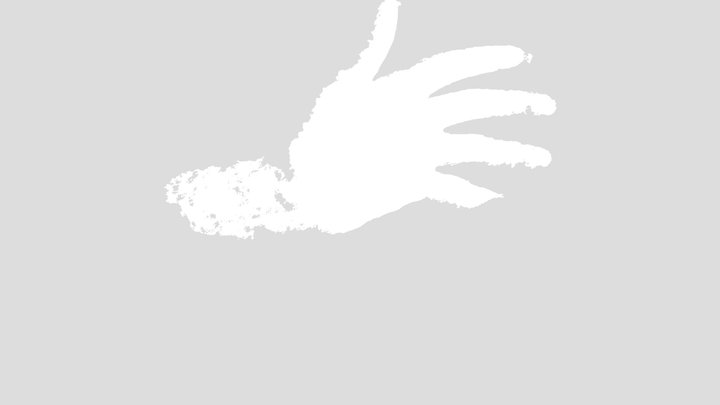 Hand 3D Model