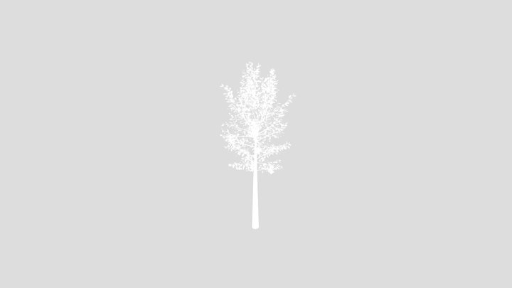Street Tree – Modèle 3D gratuit STL