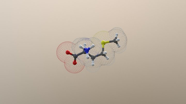 Methionine 3D Model