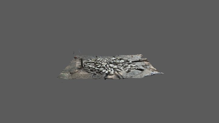 西富遺跡環状列石（Metashape1.4） 3D Model