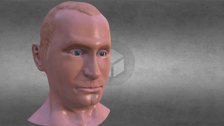 Vladimir Putin Portrait Bust 3D Model