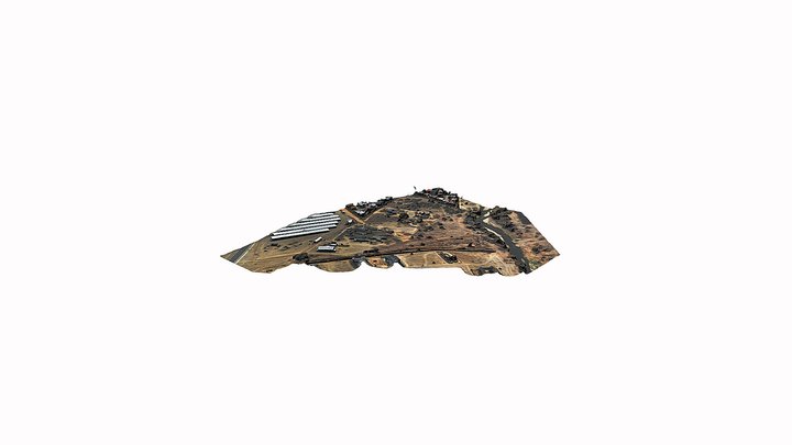 DAINFERN 3D Model