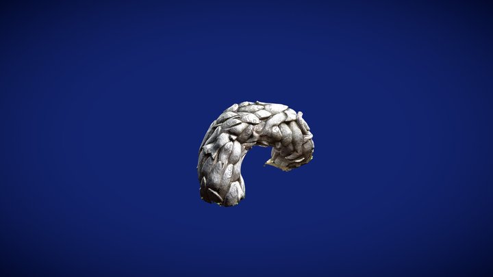 Proba Blender 2 3D Model