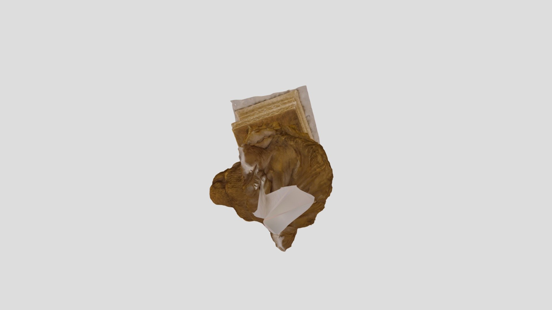 3D Model