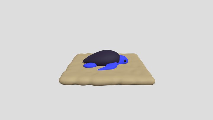 Baby turtle
