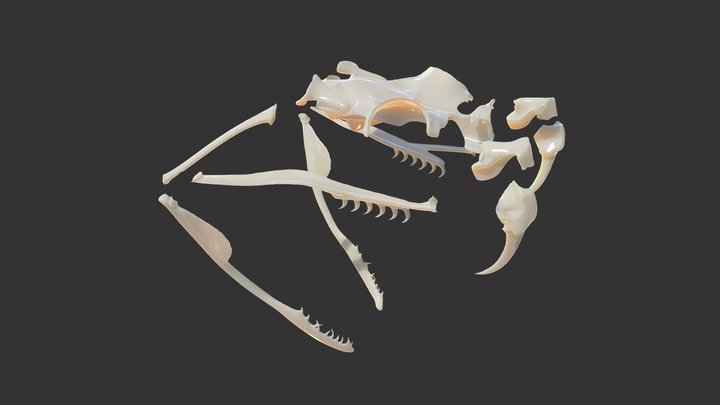 Snake Skull 4270 3D Model