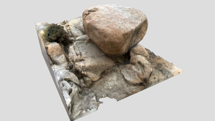 Joshua Tree California Rocks Scan 3 3D Model