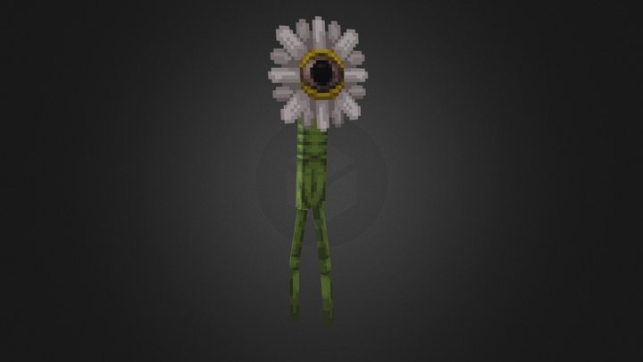 forget_me_not