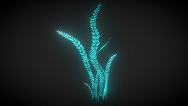 Kelp Plant 3D Model