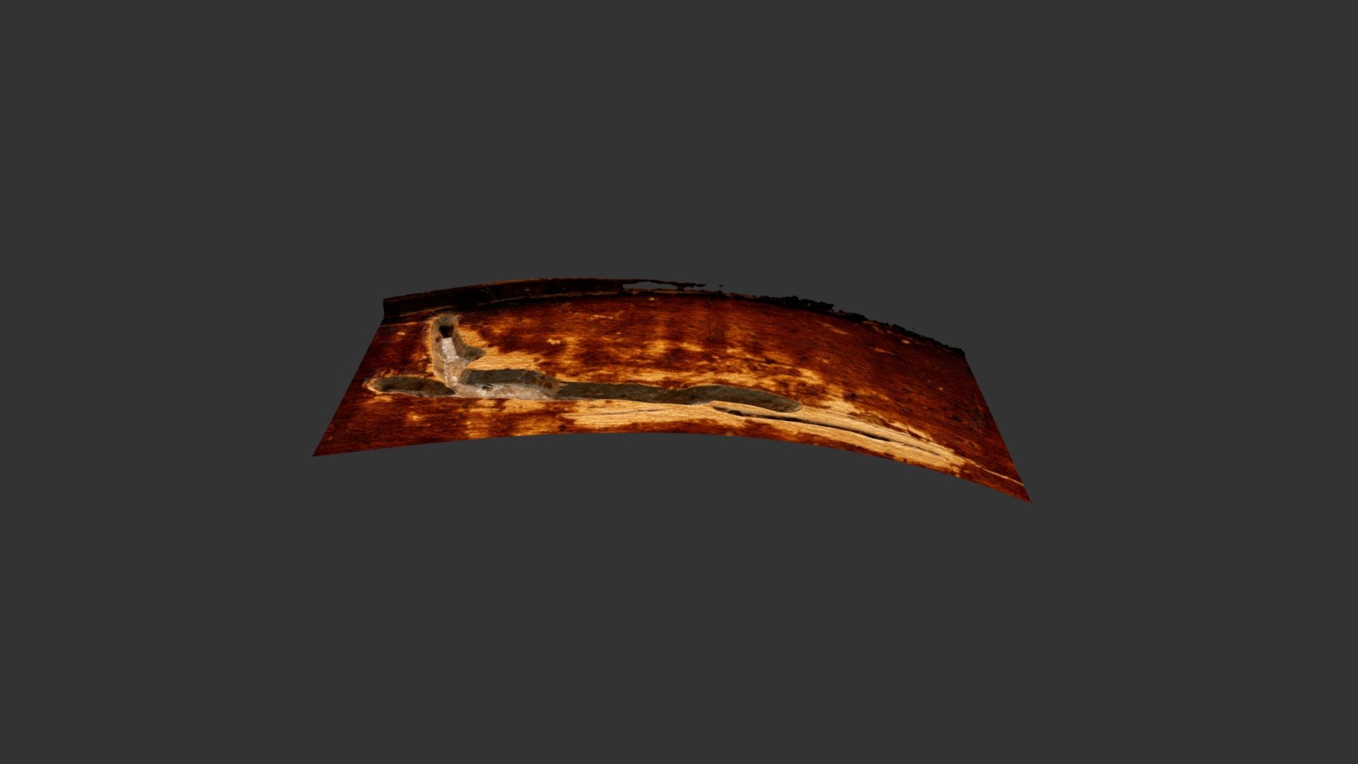 viola rib worm damage - 3D model by AndreasHochuli (@Andreas1206 ...