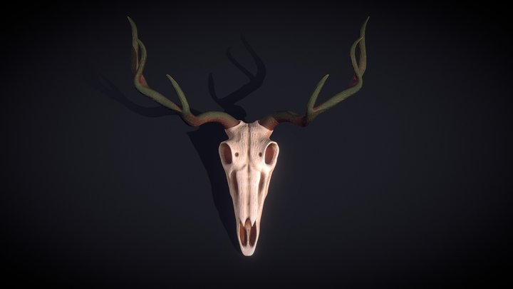 Deer Skull 3D Model