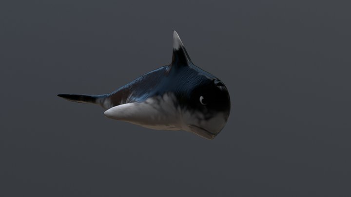 Whale (baleia) 3D Model