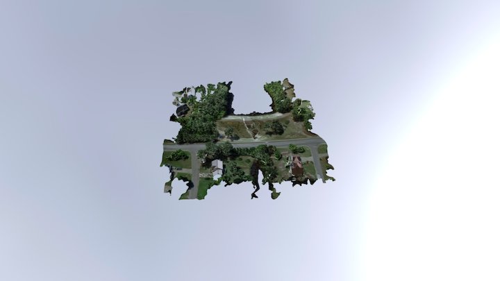 Legion Dam1 Simplified 3d Mesh 3D Model