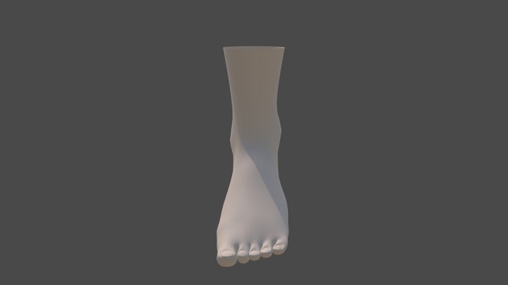 Modelado Pie Humano 3D Model