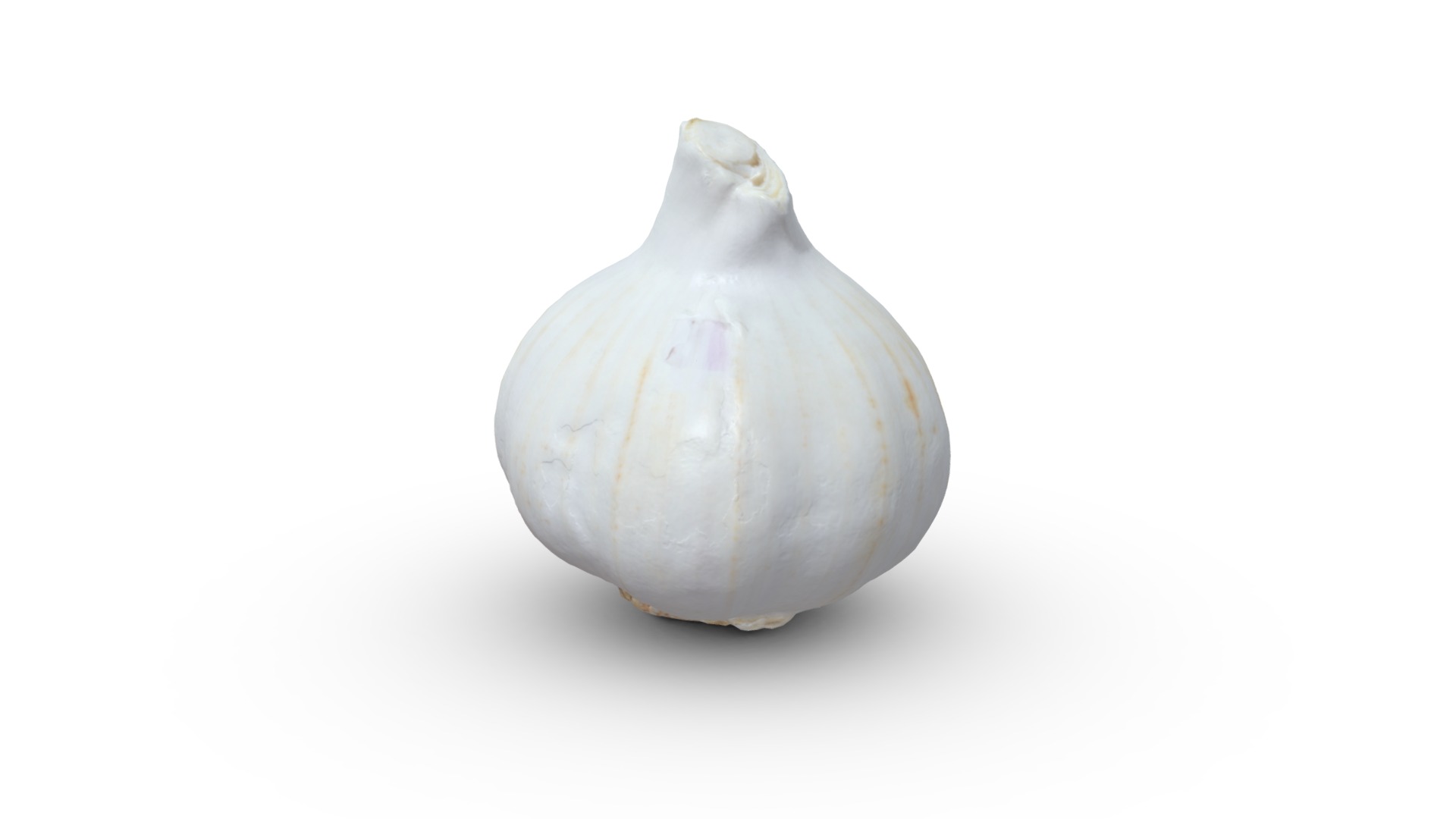 3D model Garlic Scan - This is a 3D model of the Garlic Scan. The 3D model is about a white and grey egg.