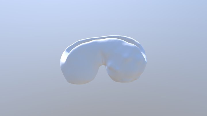 Elephant 2 (1) 3D Model