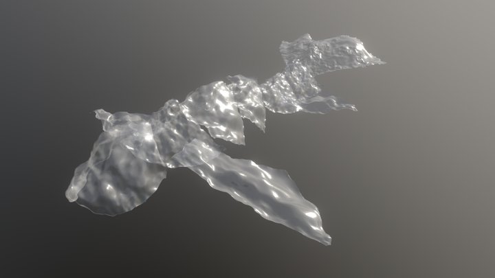 whale 3D Model