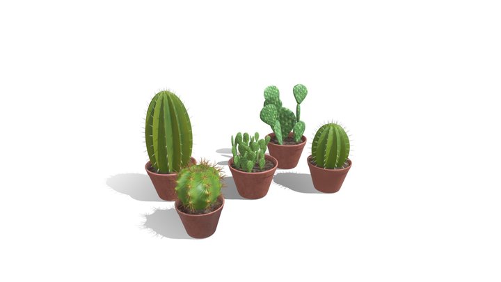 Cacti 3D models - Sketchfab