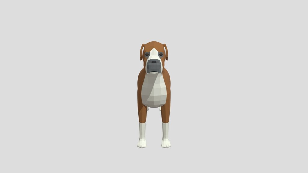 Low Poly Boxer Dog