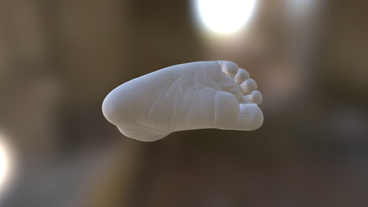 RIGHT LEG 3D Model