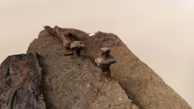 Archaeology Dig - Bolts 3D Model
