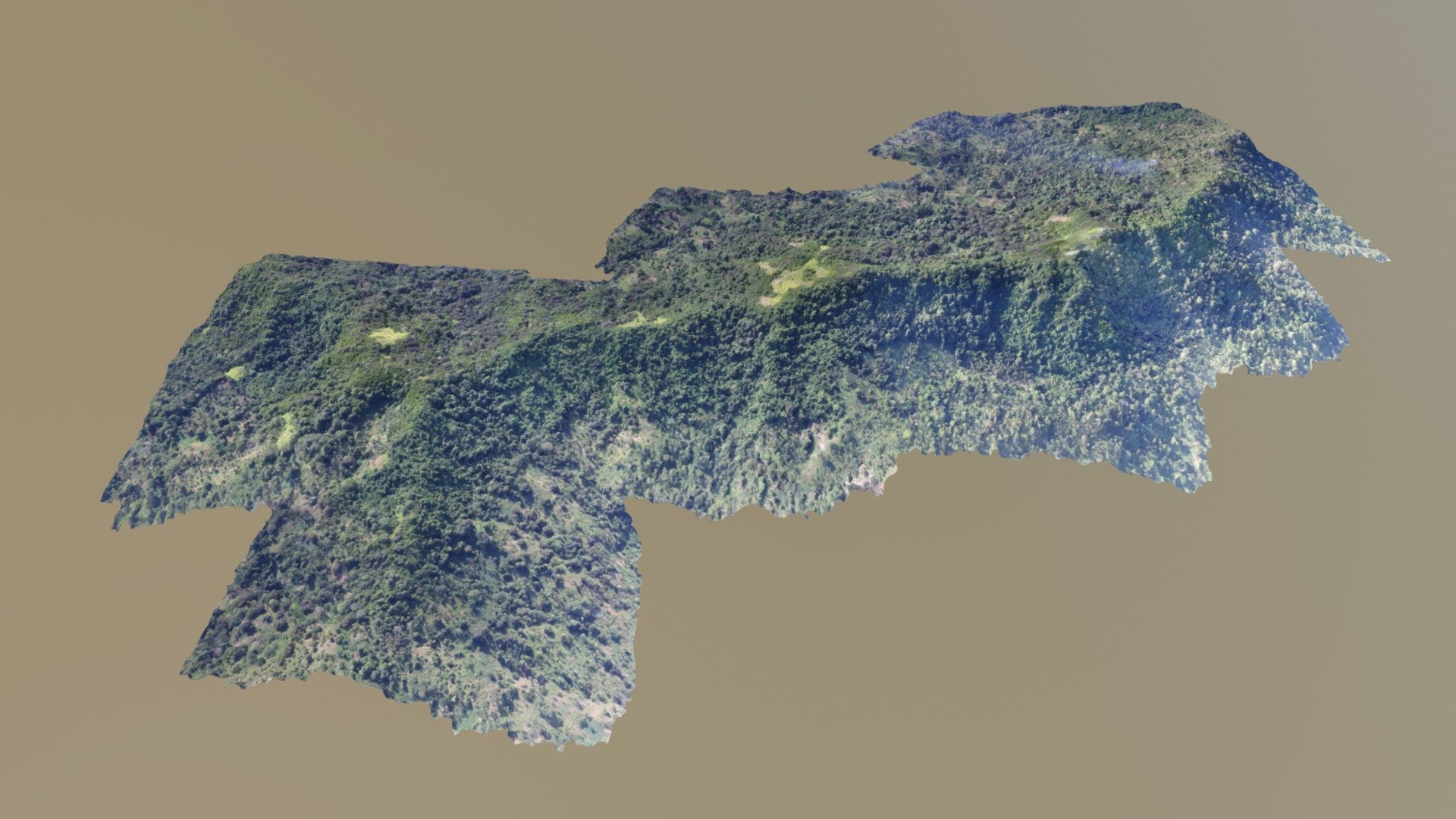 Forêt Maevadoani - Mayotte