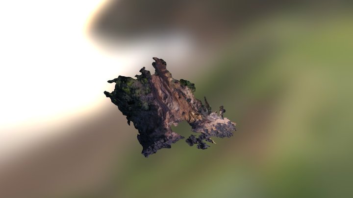 Waimarama Slip Simplified 3d Mesh 3D Model