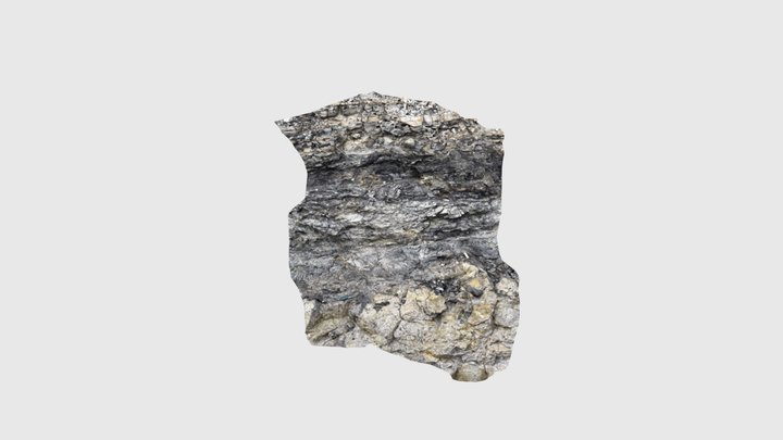 Palaeosol, coal, bay flooding surface. Stigmari… 3D Model