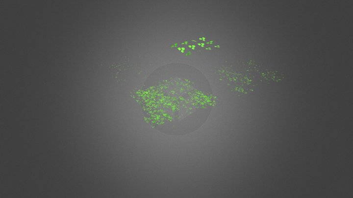 Low-Poly Clovers 3D Model