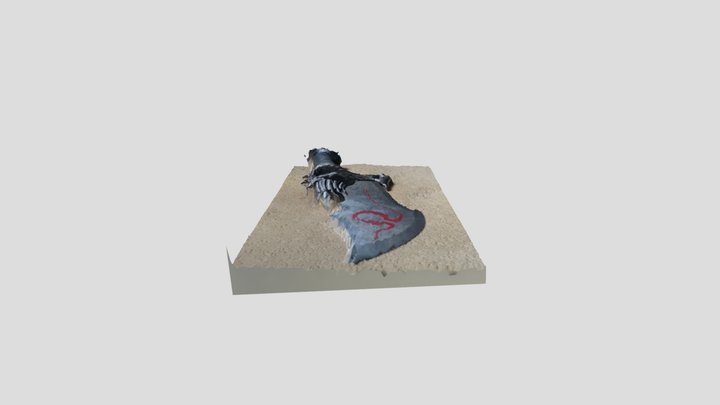 Scan 2023-02-22T17:03:27.969Z 3D Model