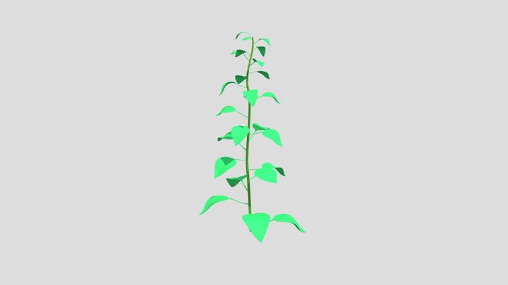 green plant 3D Model