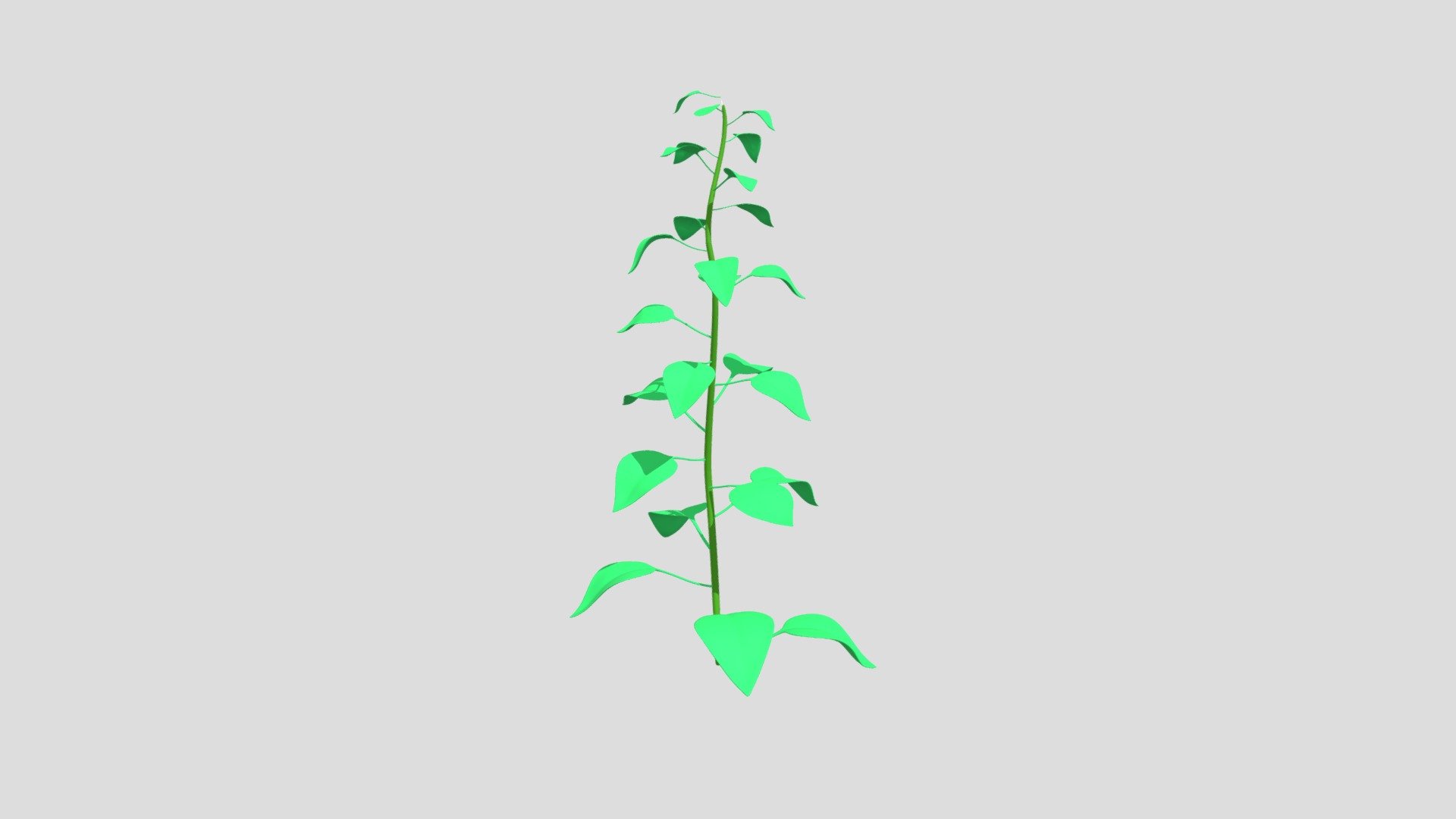 green plant