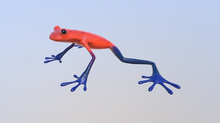 331Organic_Lehman_Jae 3D Model