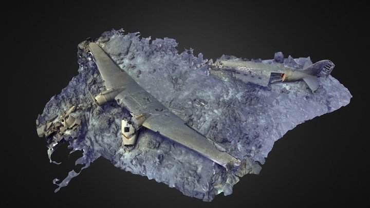 Dakota C47 Wreck 3D Model
