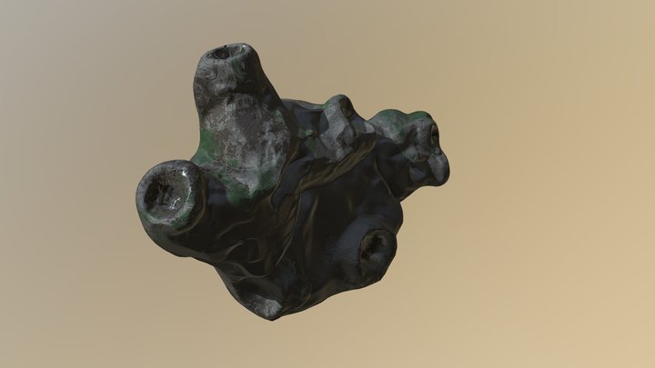 FossilTest 3D Model