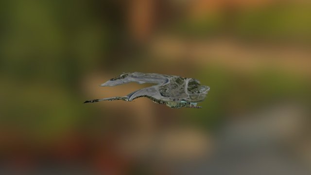 Big Horn 3D Model