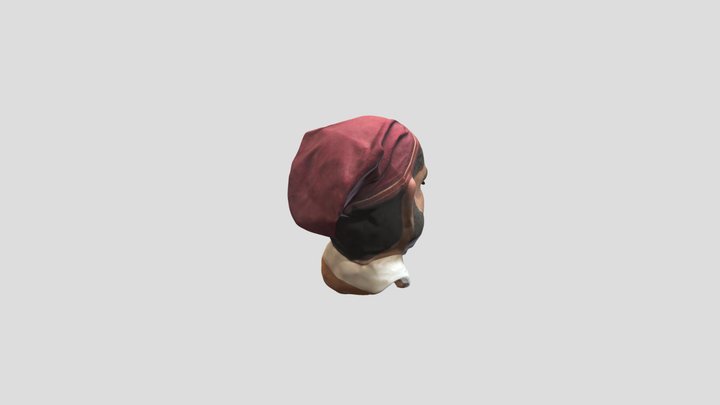Esquivamosques 3D Model
