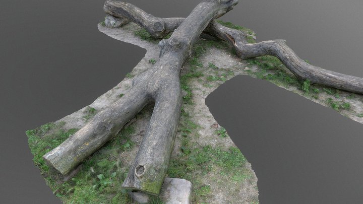 Tree trunks cross bench