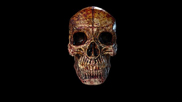 Human Skull (flesh) 3D Model