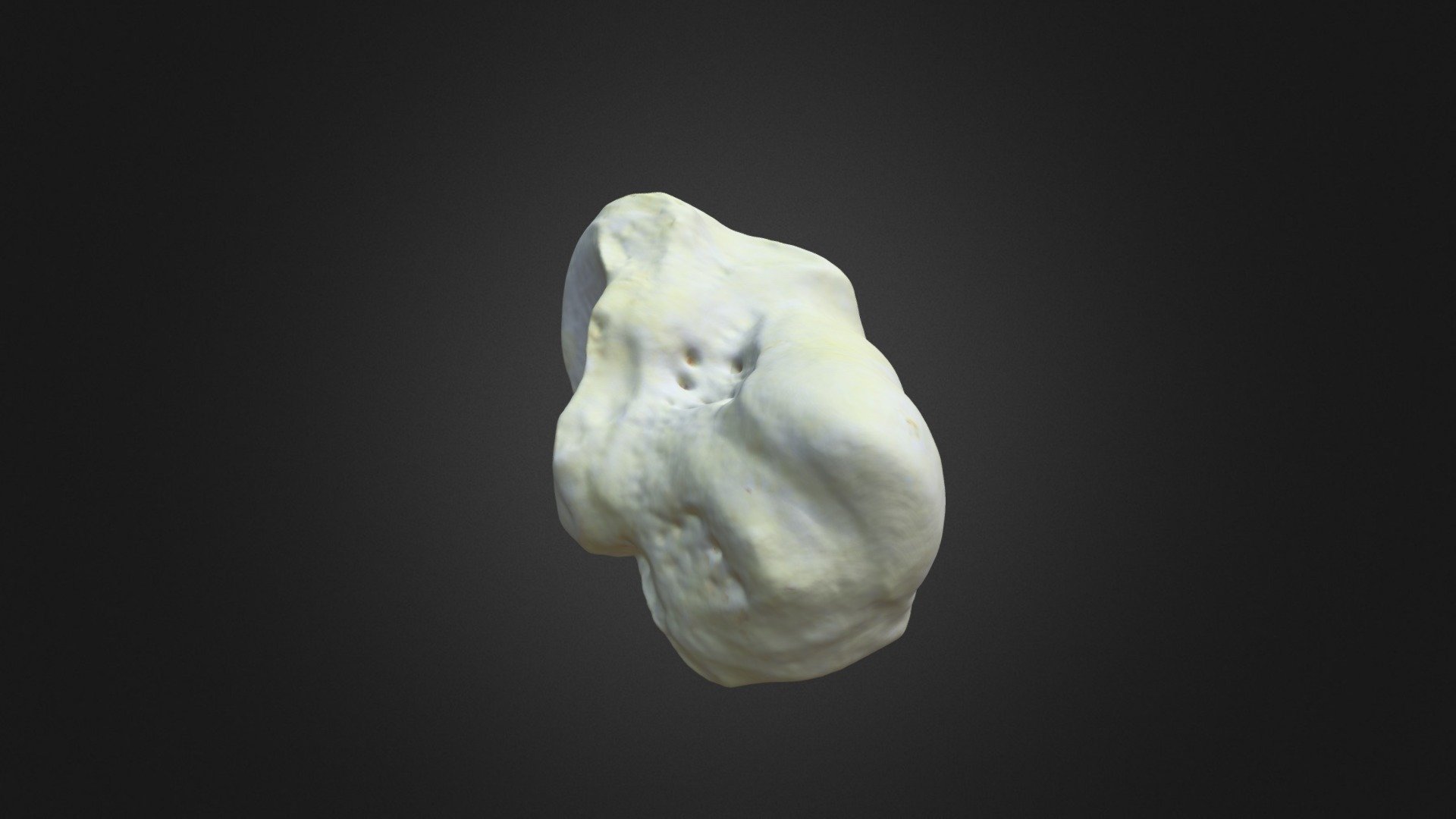 G. g. gorilla, medial cuneiform (right hindlimb)