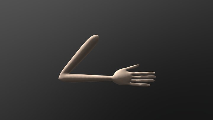 stylized arm 3D Model