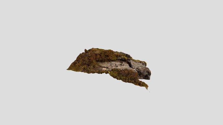 Skålgroper 3D Model