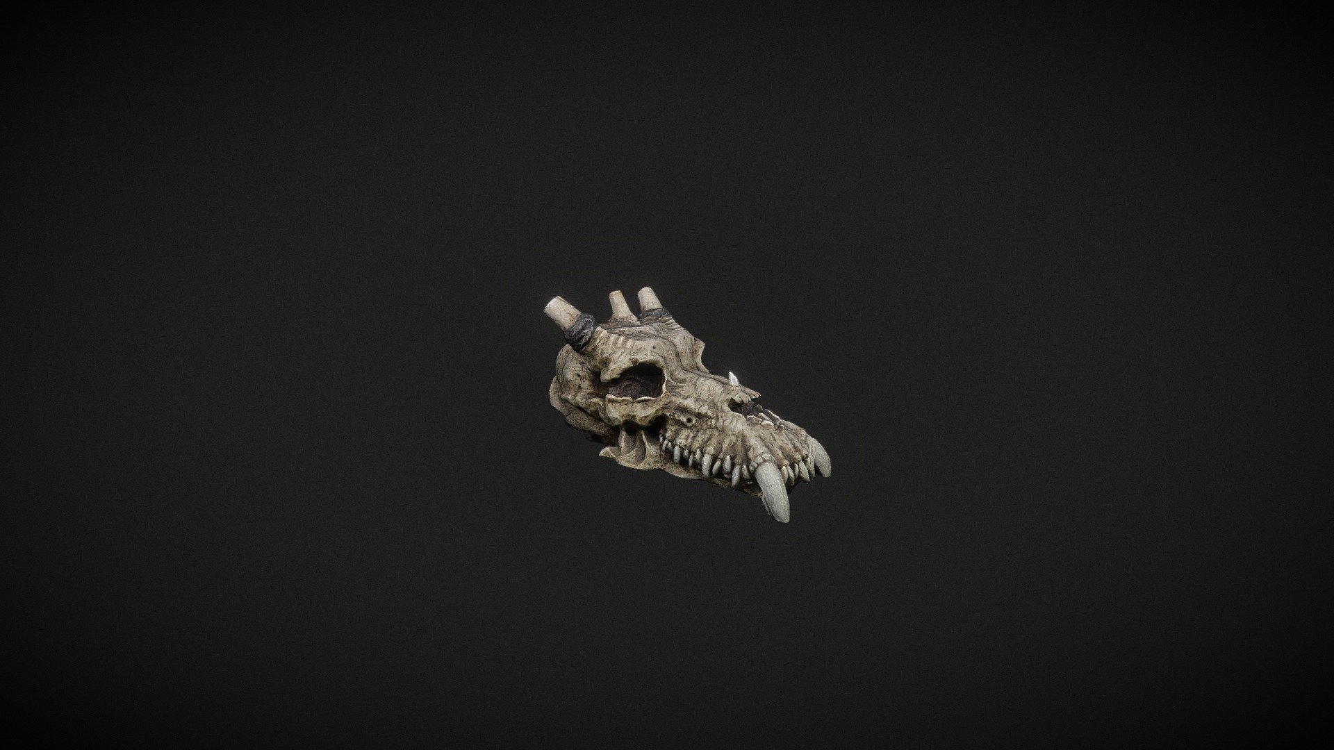 Skull Dragon